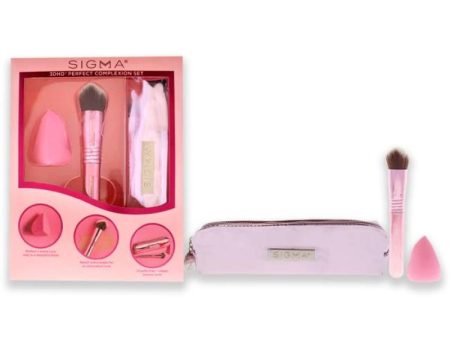 3DHD Perfect Complexion Set by SIGMA Beauty for Women - 3 Pc Set 3DHD Blender, 3DHD Kabuki Brush, Bag Cheap