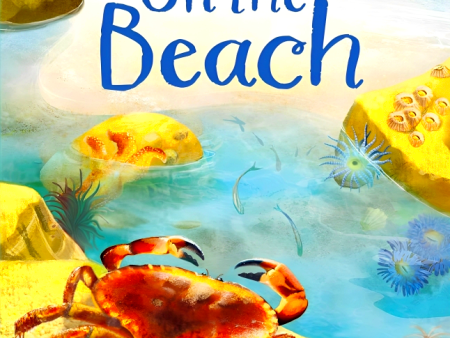 Usborne Beginners: On The Beach Online