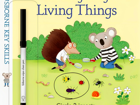 Wipe-Clean Investigating Living Things 7-8 (Key Skills): 1 Fashion